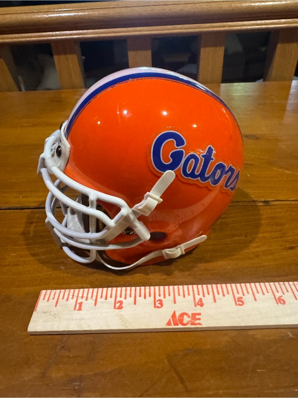 FLORIDA GATORS Mini Helmet - Picture 7 of 8